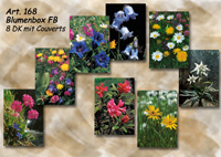 Blumenbox mit 8 Doppelkarten (Sommer)