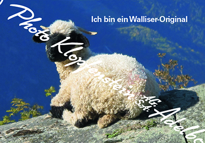 MWS012